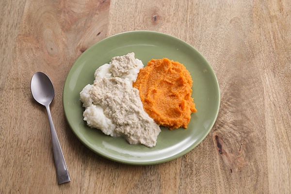 PUREED Turkey, Mashed Potatoes and Carrots